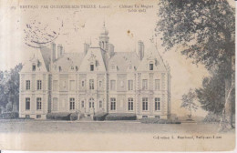 Breteau Par Ouzouer Sur Trezaa Chateau Le Muguet 1906 - Ouzouer Sur Loire