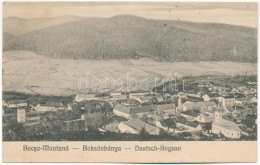 T3 1924 Boksánbánya, Németbogsán, Deutsch-Bogsan, Bocsa Montana; Látkép. Adolf Rosner Kiadása / General View (EB) - Unclassified