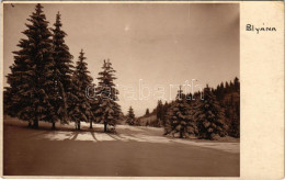 * T2/T3 Brassópojána, Polyána, Pojána, Schulerau, Poiana Brasov; Télen / Winter. Atelier O. Nepoliczka (Kronstadt, Braso - Non Classés