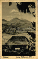 T2/T3 1943 Felsővisó, Viseu De Sus; Horthy Miklós Csúcs. Kühne Gábor Felvétele / Mountain (fl) - Ohne Zuordnung