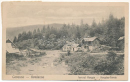T2/T3 1922 Kovászna, Covasna; Izvorul Horgas / Horgász-forrás / Spa, Spring Source (EK) - Unclassified