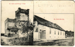 * T4 Lippa, Lipova; Dr. Halic-féle Ház, Dr. Halic Szőlőhegyi Villája / Villa (b) - Unclassified