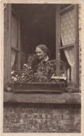 PHOTOGRAPHIE - Femme âgée - Chien - Fleurs - Carte Postale Ancienne - Photographs