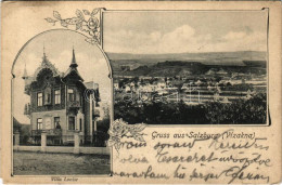 T4 1906 Vízakna, Salzburg, Ocna Sibiului; Villa Louise, Látkép. Karl Graef Kiadása / Villa, Spa. Art Nouveau, Floral (EM - Unclassified