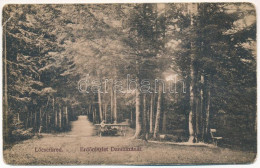 * T4 Lőcsefüred, Lőcse-fürdő, Levocské Kúpele (Lőcse, Levoca); Erdő Részlet Daniházánál. Braun Fülöp Kiadása / Forest De - Unclassified