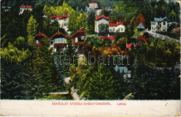 T3 1921 Stószfürdő, Stoósz-fürdő, Kúpele Stós; Látkép, Nyaralók / General View, Villas (EK) - Ohne Zuordnung