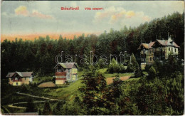 T2/T3 1907 Stószfürdő, Stoósz-fürdő, Kúpele Stós; Villa Csoport. Wlaszlovits Gusztáv Kiadása / Villas, Spa (EK) - Unclassified