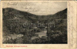 T3 1906 Vihnye, Vihnyefürdő, Kúpele Vyhne; Fürdő Látkép / General View, Spa (EB) - Sin Clasificación