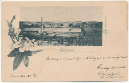 * T2/T3 1901 Belovár, Bjelovar; Gyár / Tvornica / Factory. Floral (EB) - Non Classés