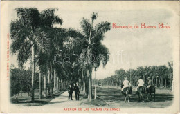 T2/T3 1902 Buenos Aires, Avenida De Las Palmas (Palermo) / Street View (EK) - Zonder Classificatie