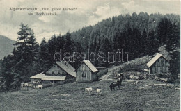 * T1/T2 Hochlantsch, Alpenwirtschaft "Zum Guten Hirten" / Alpine Farm, Guest House - Non Classés