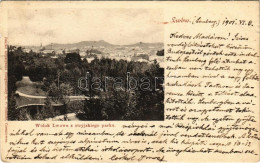 T2/T3 1901 Lviv, Lwów, Lemberg; Widok Lwowa Z Stryjskiego Parku / General View, Park (EK) - Unclassified