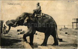 T2/T3 1912 Munkára Fogott Elefánt Indiában / Elephant At Work In India (r) - Zonder Classificatie