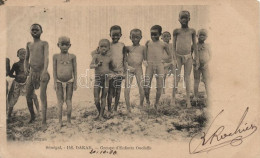 T2/T3 1908 Dakar, Groupe D'Enfants Ouloffs / Ouoloff Children, Senegalese Folklore (EK) - Ohne Zuordnung