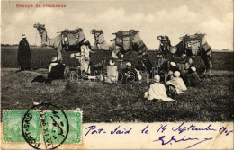 T2/T3 1906 Groupe De Chameaux / Group Of Camels, Egyptian Folklore. TCV Card (EK) - Non Classés
