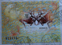 Hungary 2001 Evropa Fauna Used - Used Stamps