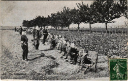 T2/T3 1908 En Campgane, Une Chaine De Tirailleurs / Francia Katonák / French Military, Soldiers. TCV Card (EK) - Sin Clasificación