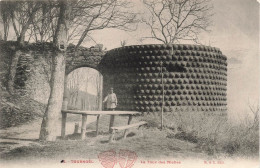 FRANCE - Tournoel - La Tour Des Miches - Carte Postale Ancienne - Volvic