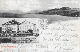 WAEDENSWEIL ► Alte Mehrbildkarte Anno 1902 - Wädenswil