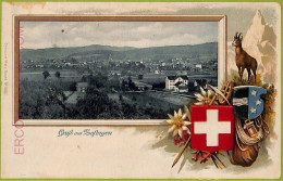 Ad5360 - SWITZERLAND - Ansichtskarten VINTAGE POSTCARD - Gruss Aus Zofingen-1901 - Zofingen