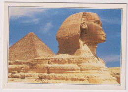 AK 198129 EGYPT - Le Sphinx De Gizeh - Sfinge