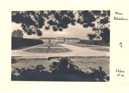 VIENNA, SCHONBRUNN PALACE, ARCHITECTURE, PARK, AUSTRIA, POSTCARD - Castello Di Schönbrunn