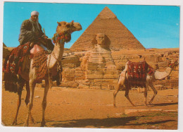 AK 198153 EGYPT - Camel Driver Near The Sphinx And Khaire Pyramid - Sfinge