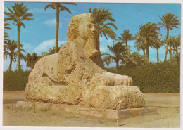 AK 198156 EGYPT - Giza - The Sphinx Of Sakkara - Guiza