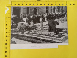 IT-00257- L'INFIORATA DI GENZANO , ULTIMI TOCCHI AI RICAMI FLOREALI 1929 - Altri & Non Classificati