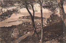 FRANCE - Nice - Vue Générale - Carte Postale Ancienne - Autres & Non Classés