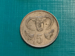 Münze Münzen Umlaufmünze Zypern 5 Cent 1983 - Chypre