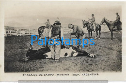 223020 ARGENTINA COSTUMES GAUCHO TRABAJOS DE CAMPO MARCANDO COW POSTAL POSTCARD - Argentine