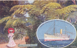 Fern Gully -  R.M.S.Port Kingston - Jamaica - Jamaïque