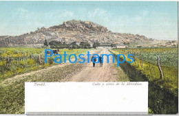 223044 ARGENTINA BUENOS AIRES TANDIL CALLE Y CERRO DE LA MOVEDIZA POSTAL POSTCARD - Argentine