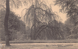 Salve Mater - Dans Le Parc   Lovenjoul - Lovenjoel - Bierbeek