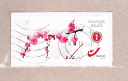 2011 Nr 4182 Duo-stamp Gestempeld. Type Mijn Zegel /  Mon Timbre. - Used Stamps