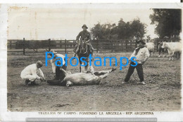 223082 ARGENTINA COSTUMES GAUCHOS TRABAJO DE CAMPO PONIENDO LA ARGOLLA COW CIRCULATED TO FRANCE POSTAL POSTCARD - Argentine