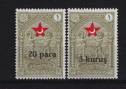 Turkey : Mi 22 + 23 Child Care   Neuf Avec ( Ou Trace De) Charniere / MH/* 1932 - Unused Stamps