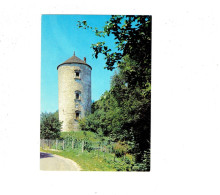 Cpm - [39] Jura > Clairvaux Les Lacs - La Tour Vestiges Du Château Médiéval Des Barons De Beauffremont - 3915410 Protet - Clairvaux Les Lacs