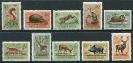 HUNGARY 1953 Forest Mammals MNH / **  Michel 1285-94 - Unused Stamps