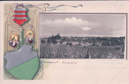 Morges VD Et Le Mont Blanc, Armoiries Et Fleurs, Cadre Litho Gaufrée (1305) - Morges