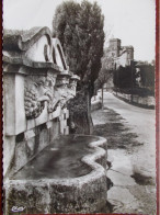 84 - LOURMARIN - La Fontaine Laurent Vibert. (CPSM) - Lourmarin