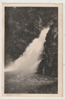 SUISSE 164 : Giessbachfall : édit. S B Brienz N° 790 - Brienz