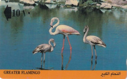 OMAN(GPT) - Greater Flamingo, CN : 7OMNC/B, Tirage 20000, 11/91, Used - Oman