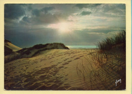 Coucher De Soleil : La Côte D'Opale / Le Touquet-Paris-Plage / Couleurs Et Lumière De France (voir Scan Recto/verso) - Contre La Lumière