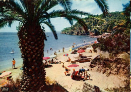 83 - LA RAYOL - UN COIN DE LA PLAGE - Rayol-Canadel-sur-Mer