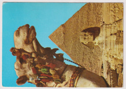 AK 198196  EGYPT - Giza - The Sphinx And The Pyramid Of Khefre - Sphinx
