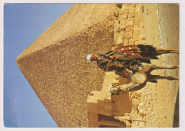 AK 198197  EGYPT - Kairo - Giseh - Cheopspyramide - Piramiden