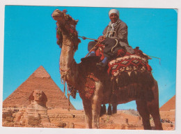 AK 198212 EGYPT - Giza - Camel Driver Near The Sphinx And Khafre Pyramid - Sphynx