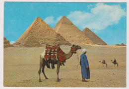 AK 198218 EGYPT - Giza - The Giza Pyramids - Piramidi